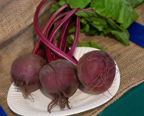 Website Tile Square (6)