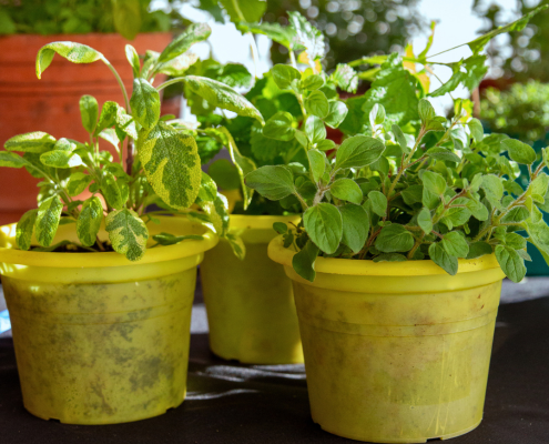 Website Tile Square (7)