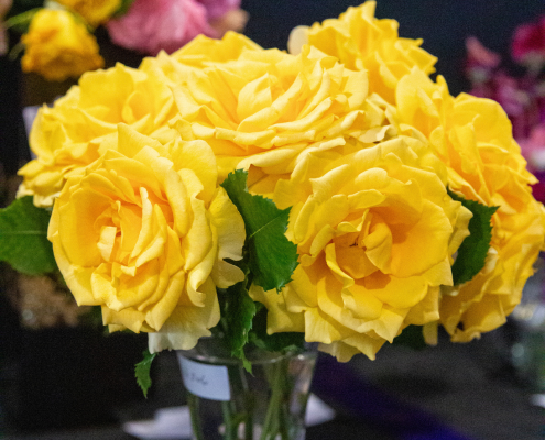 Website Tile Square (8)